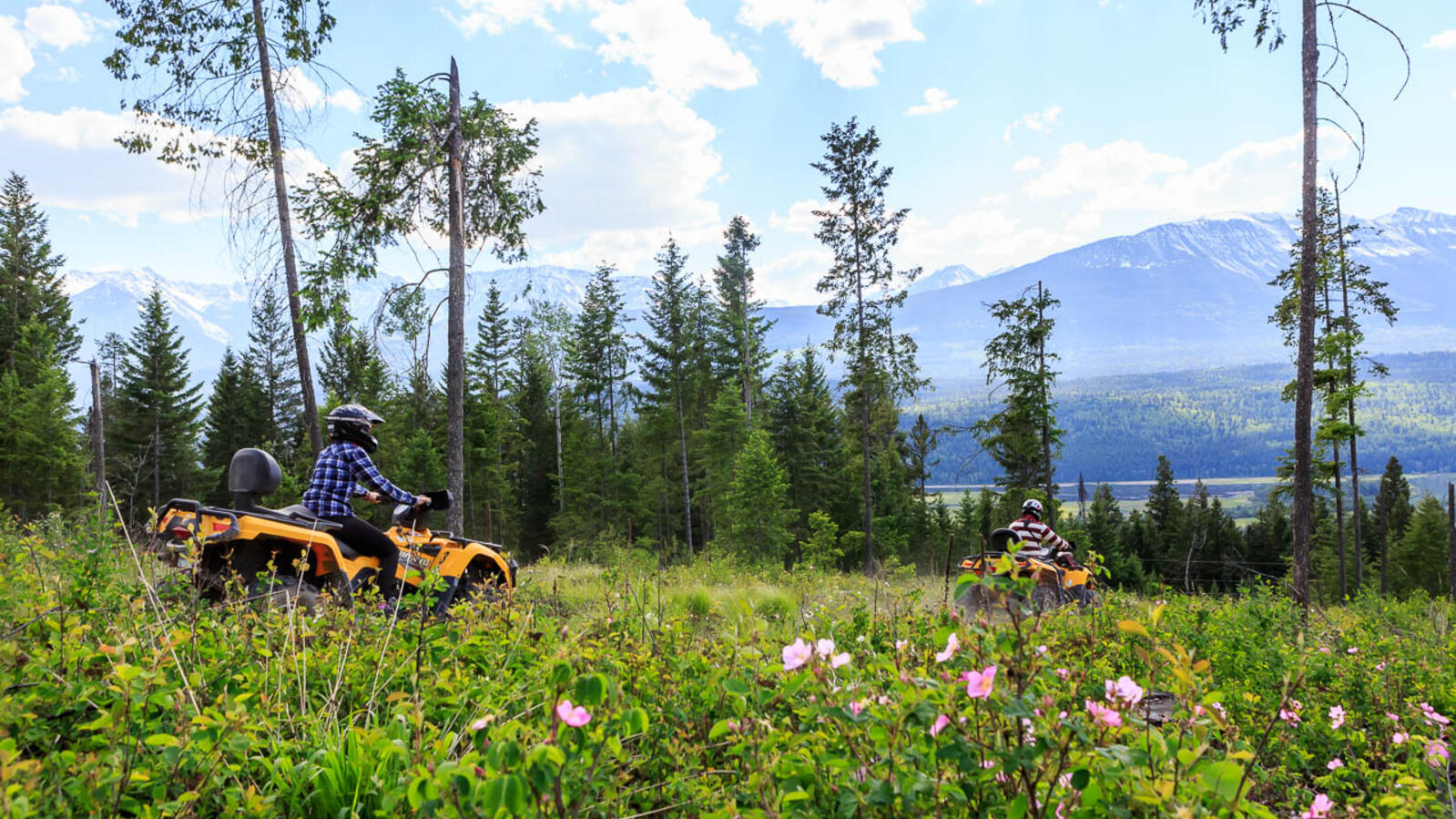 Quad in Golden BC
